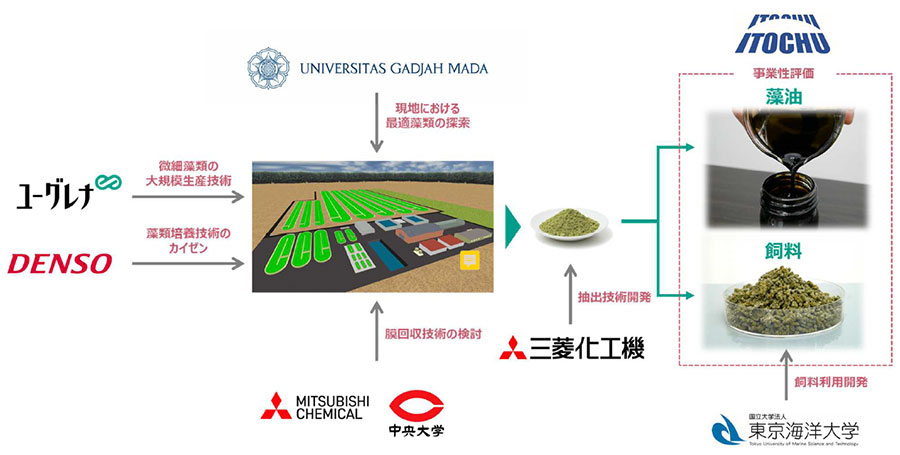 微細藻類を基盤としたバイオジェット燃料技術開発事業の実施体制（画像：ユーグレナ）。