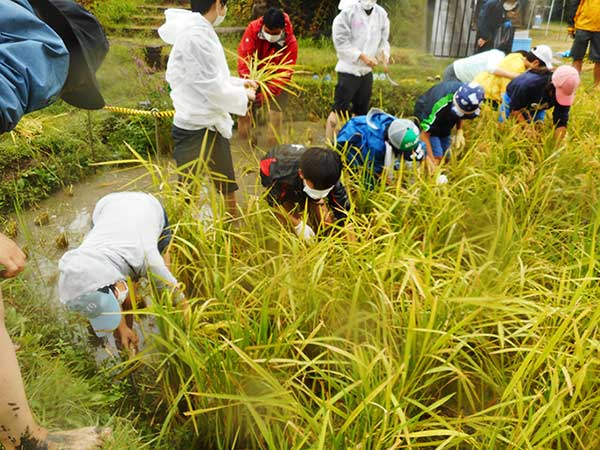 首都高速道路の大橋換気所「おおはし里の杜」（画像：首都高速道路）。
