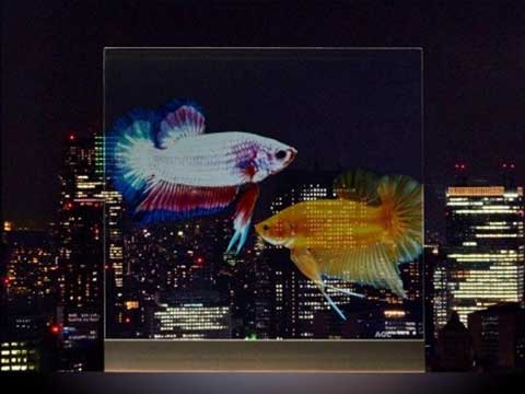 ガラス製透明スクリーン「Glascene」の投影後イメージ（画像：ＡＧＣ）。