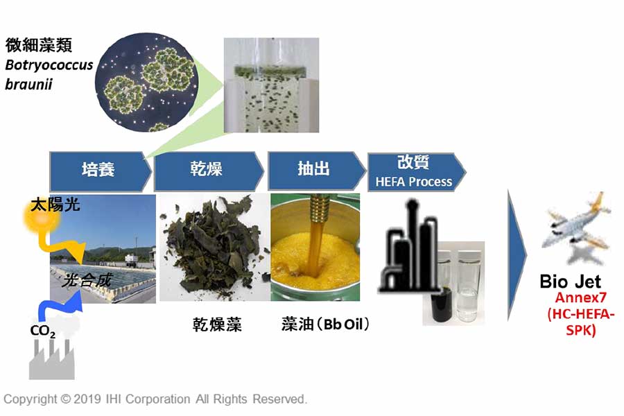 微細藻類を原料としたバイオジェット燃料の製造過程（画像：IHI）。