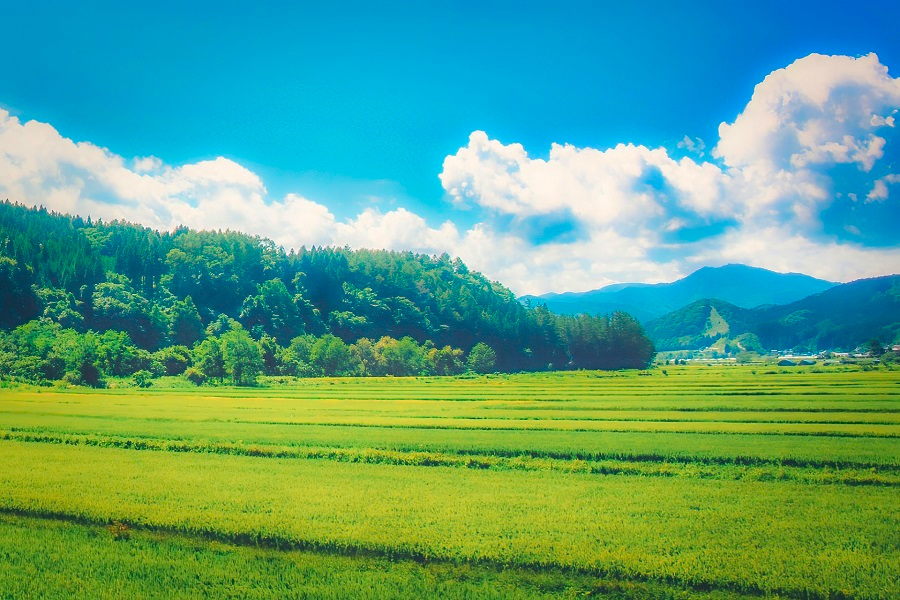 懐かしさを感じさせる、ふるさとのイメージ(画像:写真AC)。