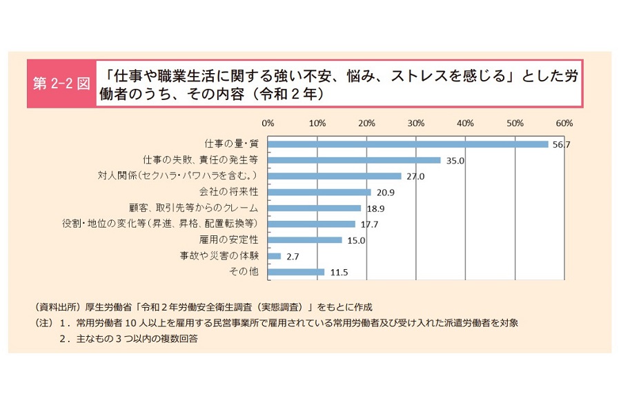 「過労死等防止対策白書（2021年版）」（画像：厚生労働省）
