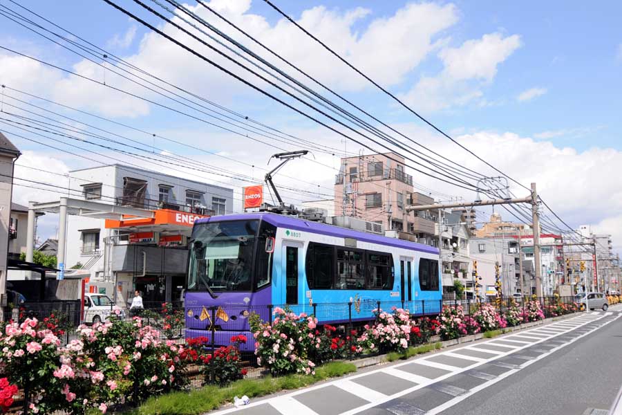 色とりどりのバラが咲く荒川車庫前―小台間を走る都電（画像：小川裕夫）