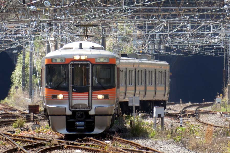 JR東日本管轄の東海道本線熱海に到着するJR東海313系8000番台（画像：岸田法眼）