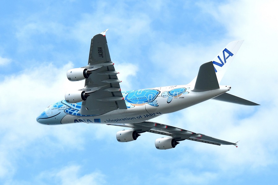 ANAのA380「フライングホヌ」（画像：シカマアキ）