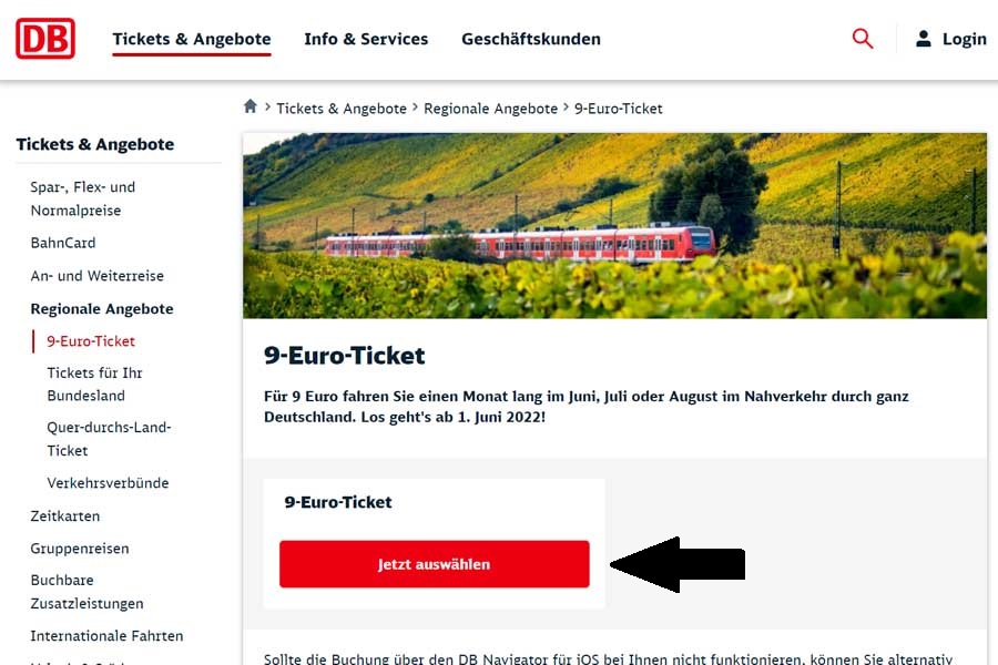 9ユーロチケットについて書かれたドイツ鉄道のウェブサイト（画像：ドイツ鉄道）