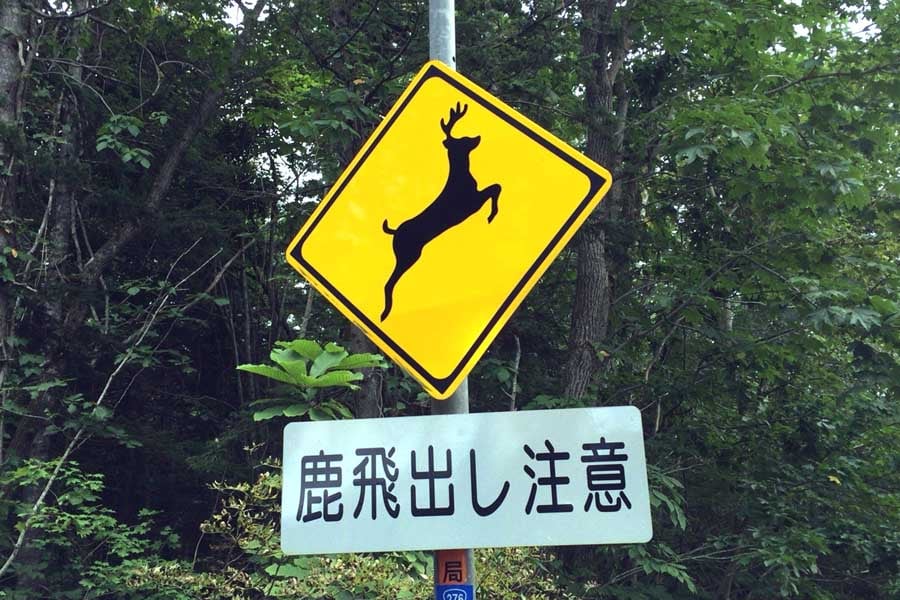 「鹿の飛び出し注意」と書かれた標識（画像：写真AC）