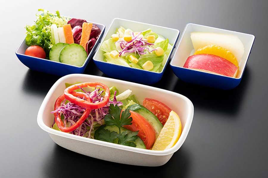 ANAの特別機内食。ベジタリアン（生野菜・果物限定）の食事（画像：ANA）
