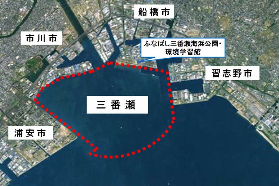 三番瀬（画像：船橋市）