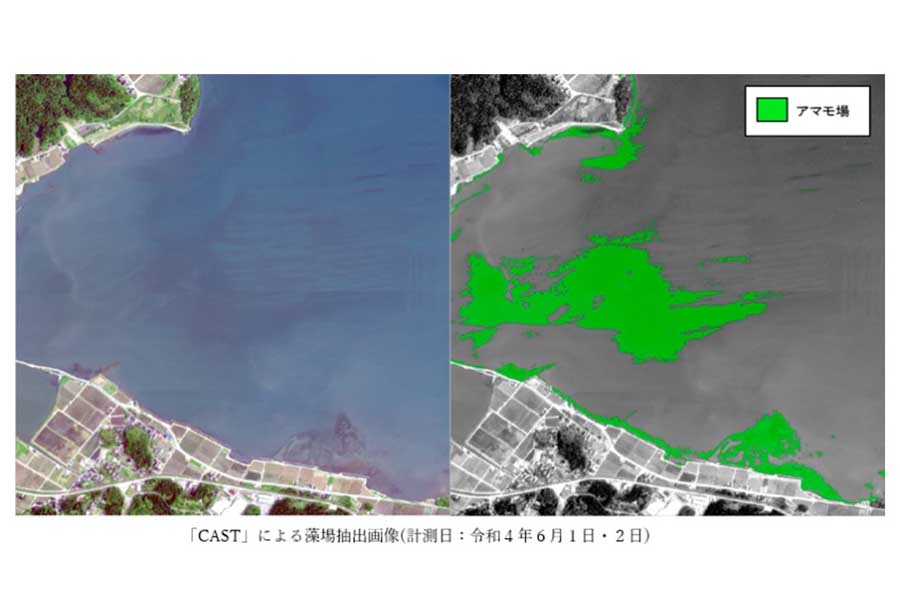 画像解析による藻場抽出結果（画像：中日本航空）