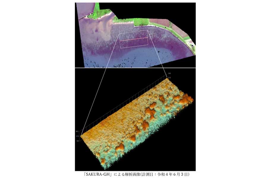 ALBによる画像解析結果（画像：中日本航空）