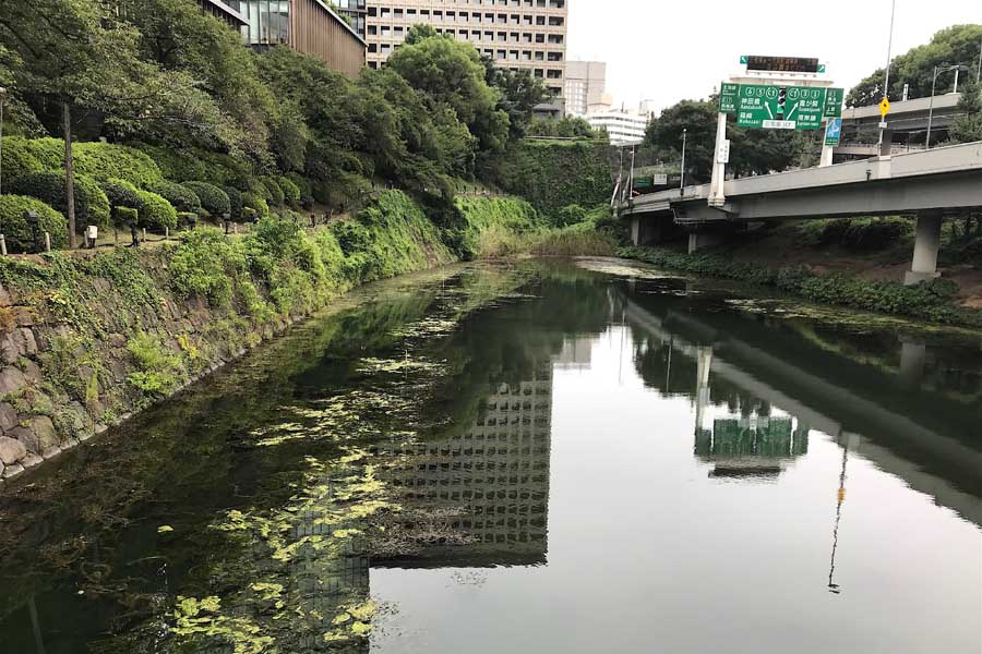 弁慶橋から望む弁慶濠。右手前から奥にかけて見えるのが濠の遺構。その奥に赤坂御門がある（画像：小林明）