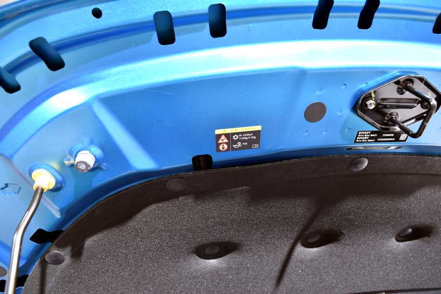 BYDのEV（画像：Merkmal編集部）