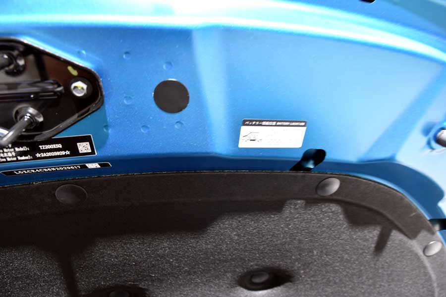 BYDのEV（画像：Merkmal編集部）