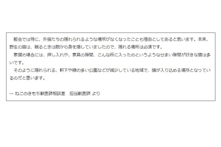 『ねこのきもち』獣医師相談室の担当獣医師コメント（画像：JAF）