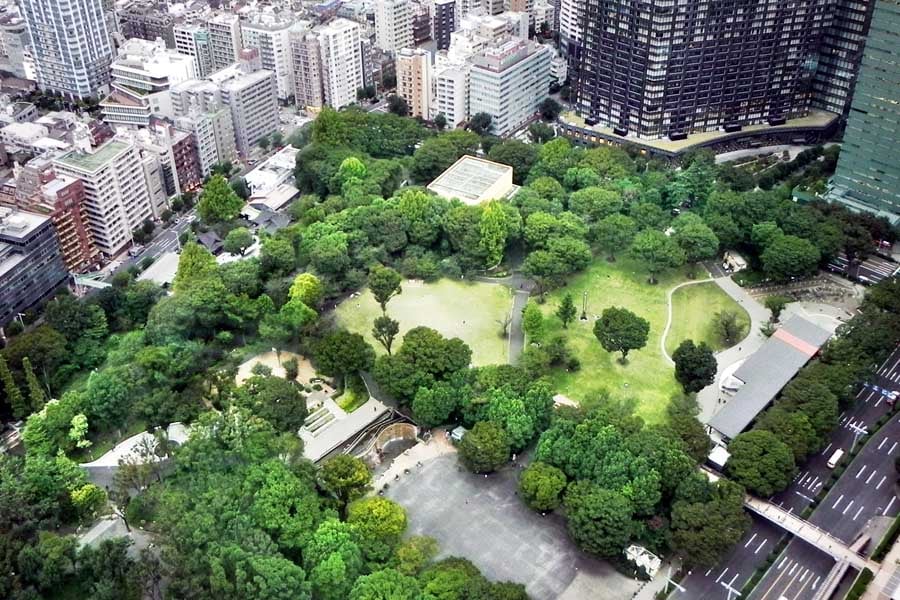 新宿中央公園（画像：写真AC）