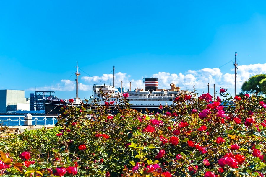 横浜市の山下公園に係留されている氷川丸（画像：写真AC）