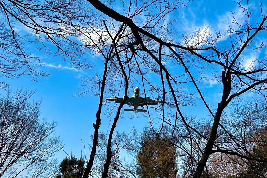 自然と空港の距離感が課題のひとつ(画像:写真AC)