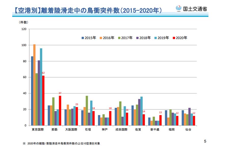 第20回鳥衝突防止対策検討会。バードストライクの関連データ。2021年速報値データ、1月～9月（画像：国土交通省）