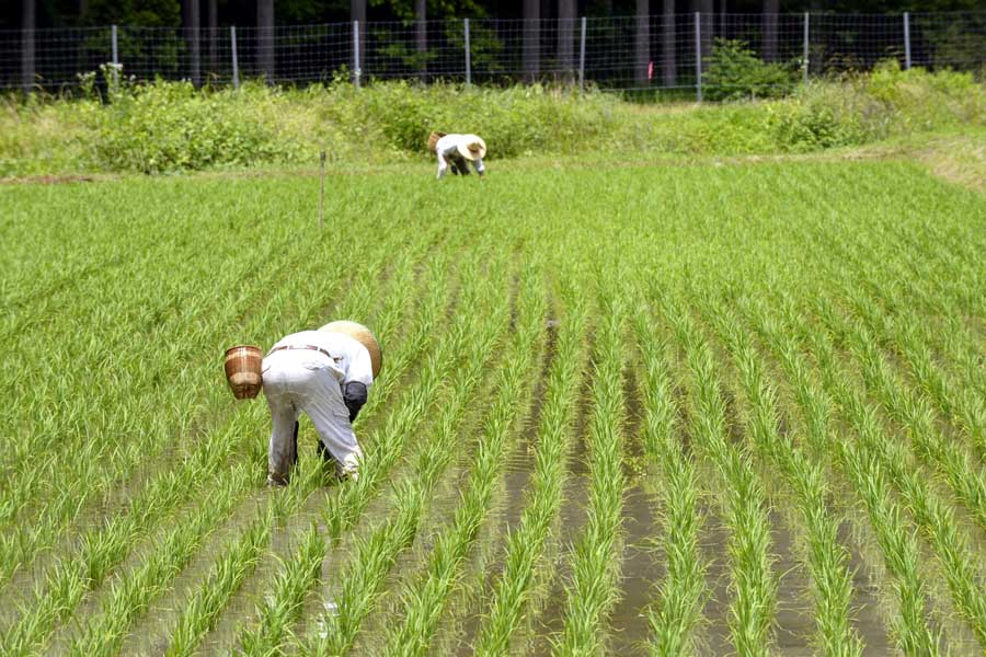 京都府南丹市美山町の風景（画像：写真AC）