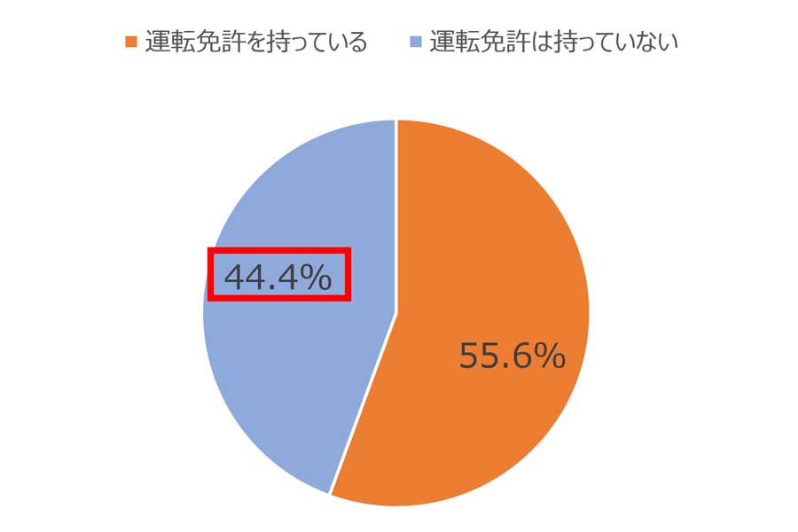質問は「あなたは、自動車の運転免許をお持ちですか」（画像：沖縄観光コンベンションビューロー）