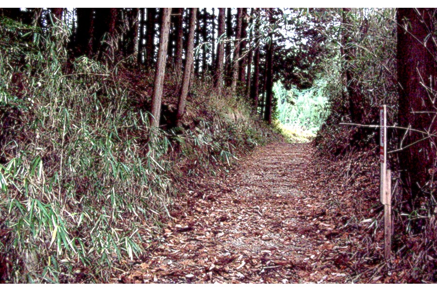 信楽街道の一部。舗装されていない山道である。国道307号が建設される以前は主要な交通路だった(画像:宇治田原町産業観光課)