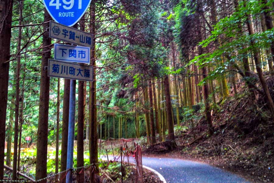 国道491号線（画像：写真AC）