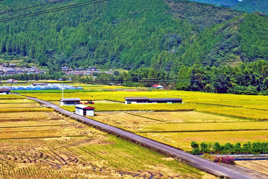 田畑と道路（画像：写真AC）
