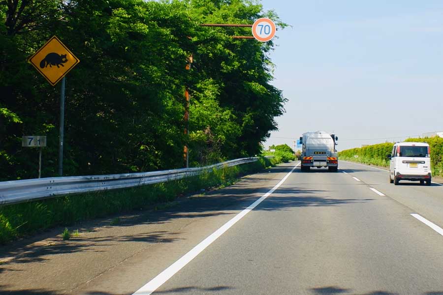 動物飛び出し注意の標識が設置された道路（画像：写真AC）