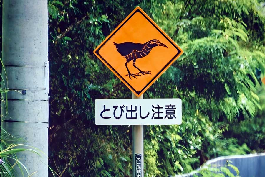 ヤンバルクイナの絵が描かれた「動物注意」の標識（画像：写真AC）