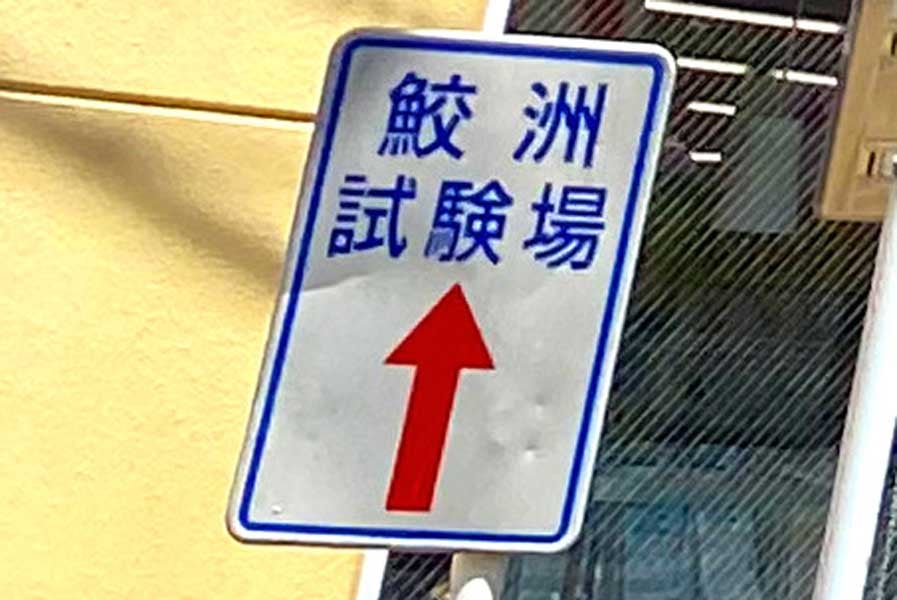 鮫洲運転免許試験場へ向かう道（画像：星野正子）