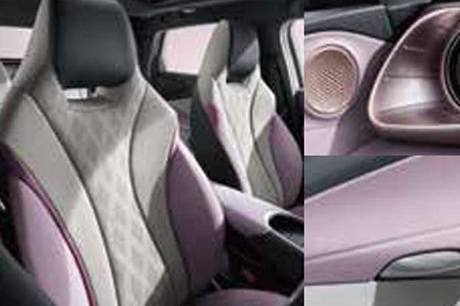 小型EV「ドルフィン」（画像：BYDジャパン）