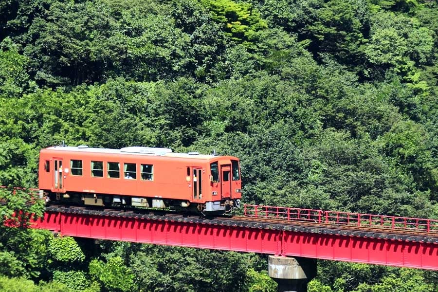 新緑の鉄橋を走る越美北線（画像：写真AC）