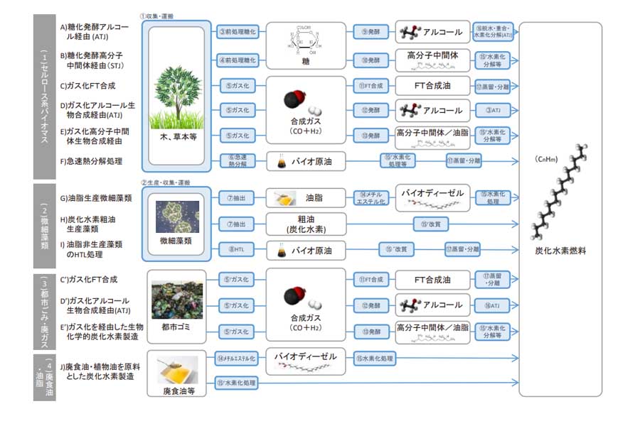 さまざまなバイオマス原材料からの次世代バイオ燃料の製造プロセスの一覧（画像：NEDO技術戦略研究センター）