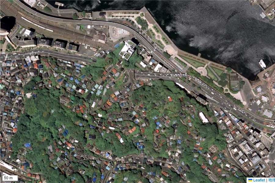 現在の「横須賀駅」周辺の航空写真（画像：国土地理院）