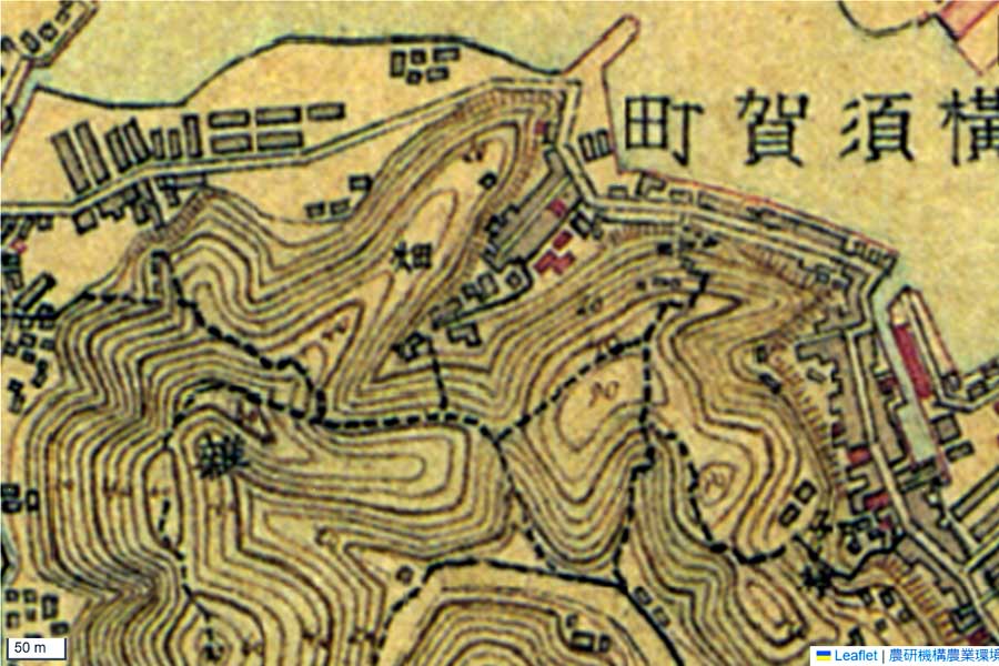 明治初期の「横須賀駅」周辺の地図（画像：国土地理院）