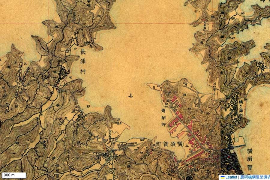 明治初期の「横須賀本港」周辺の迅速測図（画像：国土地理院）