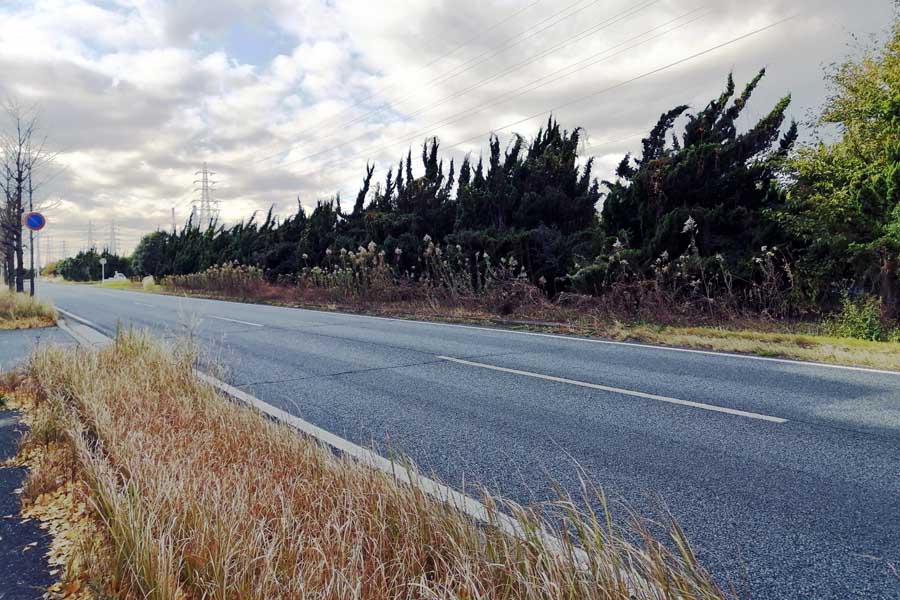 千葉県市原市の「国道16号」（画像：写真AC）