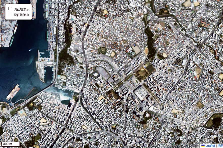 現在の「那覇新都心」周辺の航空写真（画像：国土地理院）