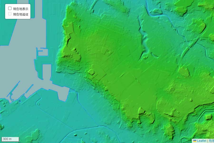 現在の「那覇新都心」周辺の地形（画像：国土地理院）