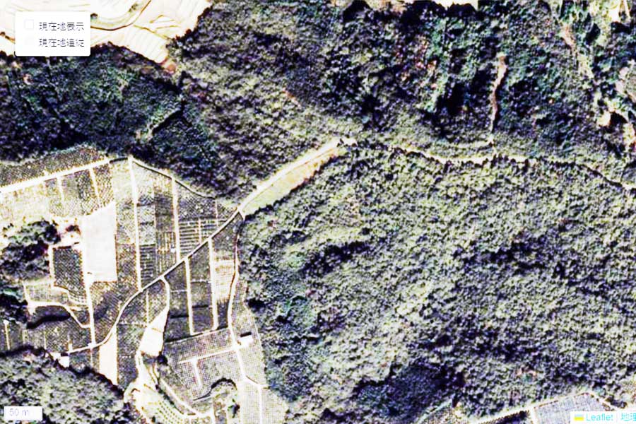 1980年頃に撮影された「コネクトエリア浜松」周辺の航空写真（画像：国土地理院）