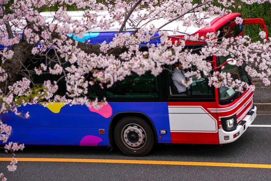 路線バス（画像：写真AC）