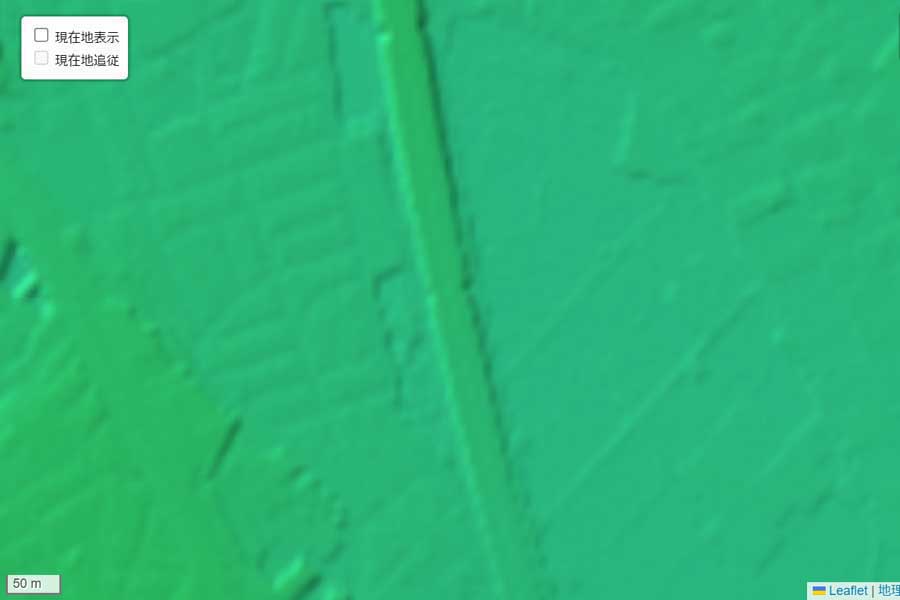 現在の「蓮田SA」周辺の地形（画像：国土地理院）