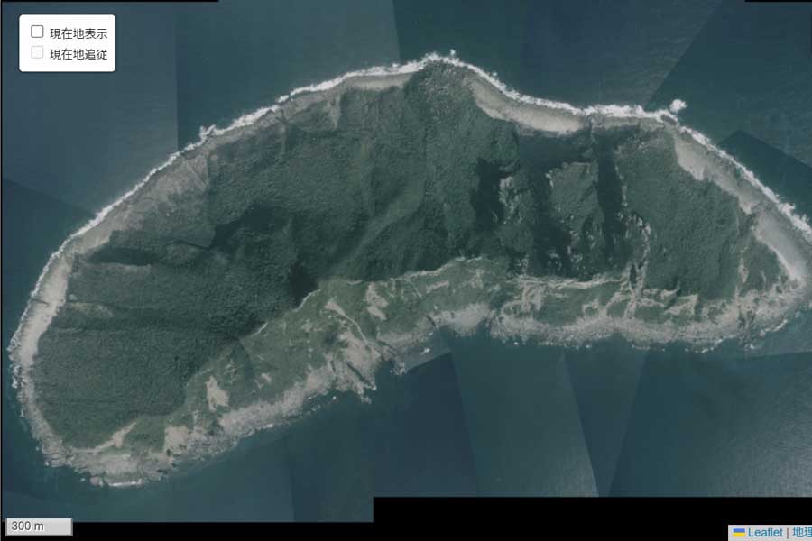現在の「魚釣島」周辺の航空写真（画像：国土地理院）