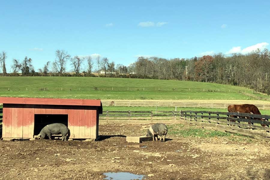 ニュージャージー州（画像：写真AC）