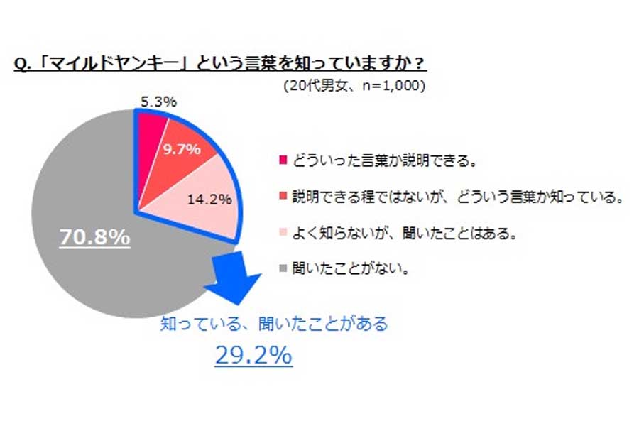 2014年6月、20代の男女1000人を対象に実施されたマイルドヤンキーに関する調査（画像：マッシュメディア）