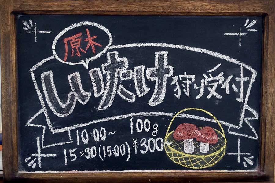 北海道拓殖バスの運営する「拓鉄キノコタン」（画像：北海道拓殖バス）