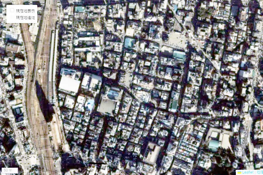 1985年頃に撮影された「歌舞伎町」周辺の航空写真（画像：国土地理院）