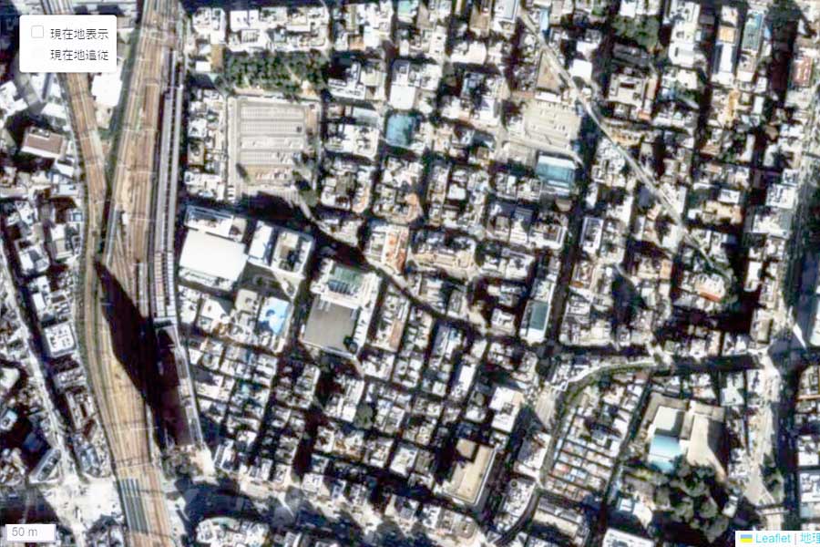 1990年頃に撮影された「歌舞伎町」周辺の航空写真（画像：国土地理院）