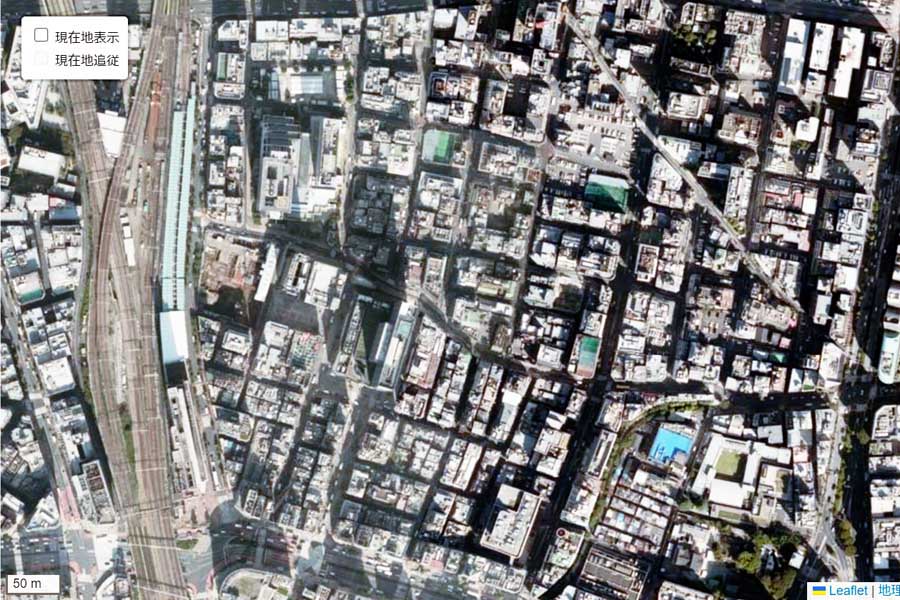 現在の「歌舞伎町」周辺の航空写真（画像：国土地理院）